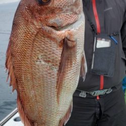 松栄丸 釣果