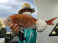 里輝丸 釣果