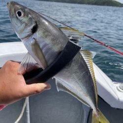 夢丸 釣果