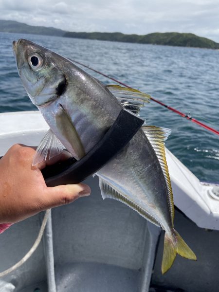 夢丸 釣果