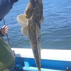 さわ浦丸 釣果