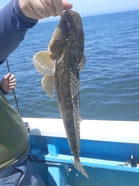 さわ浦丸 釣果