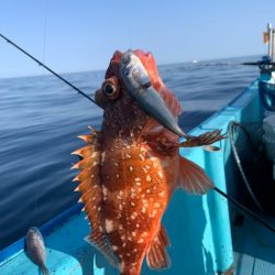 宝昌丸 釣果