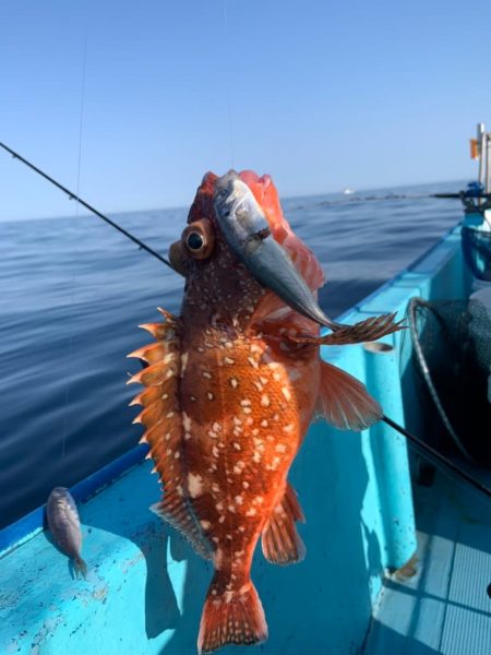 宝昌丸 釣果