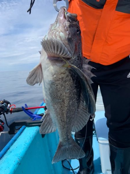 宝昌丸 釣果