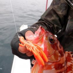 開進丸 釣果