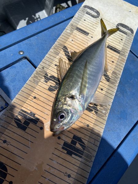 夢丸 釣果