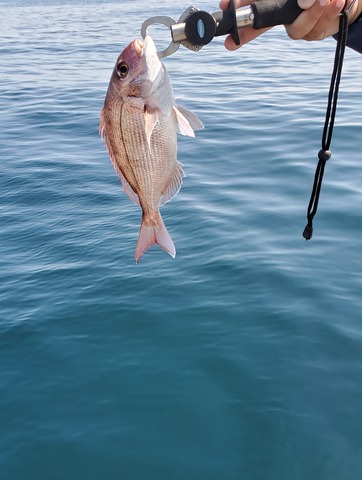 遊漁船　ニライカナイ 釣果