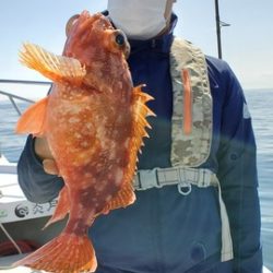 遊漁船　ニライカナイ 釣果