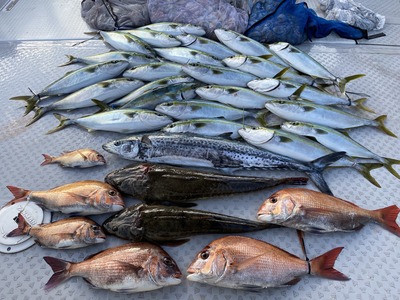 ミタチ丸 釣果