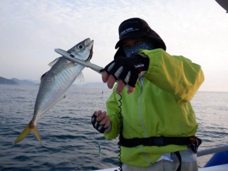 開進丸 釣果