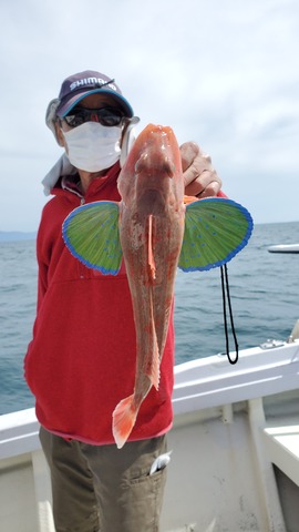 遊漁船　ニライカナイ 釣果