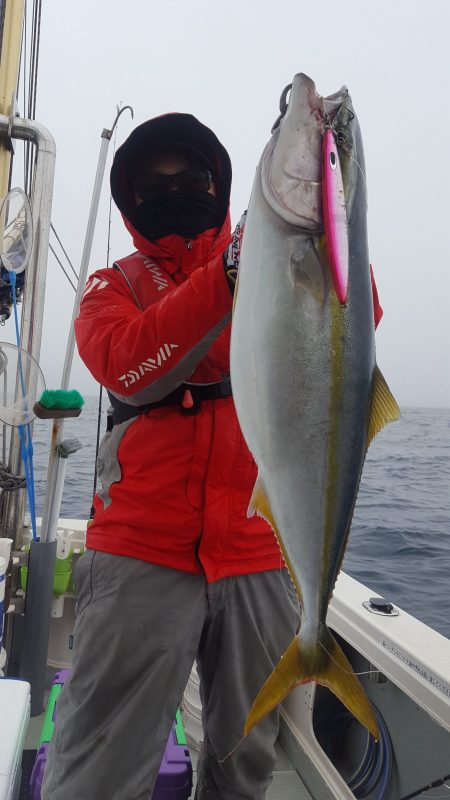 海峰 釣果