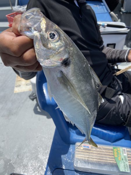 夢丸 釣果