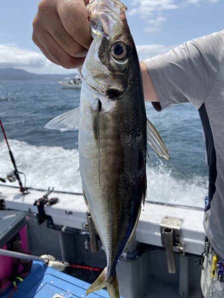 夢丸 釣果