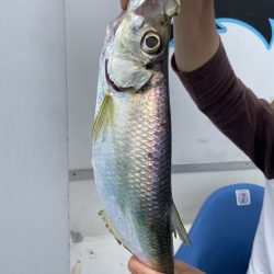 夢丸 釣果