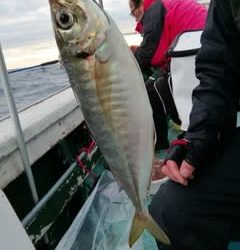 松福丸 釣果