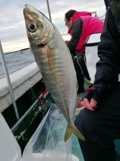 松福丸 釣果