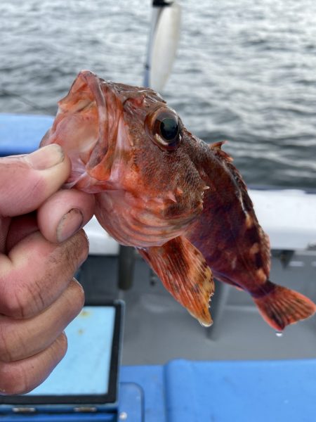 夢丸 釣果