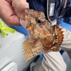 夢丸 釣果