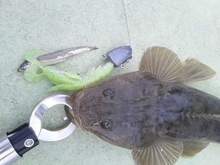 さわ浦丸 釣果