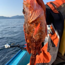 宝昌丸 釣果