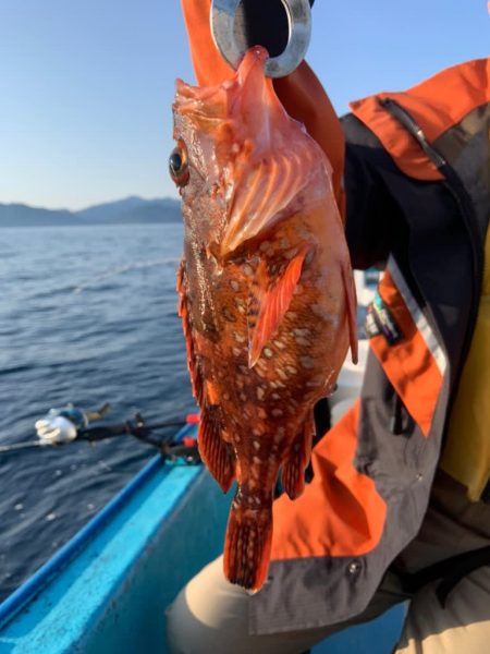 宝昌丸 釣果