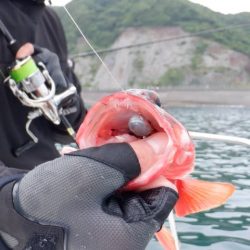 開進丸 釣果