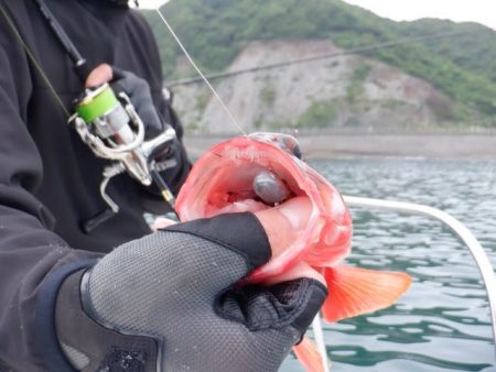 開進丸 釣果