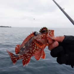 開進丸 釣果