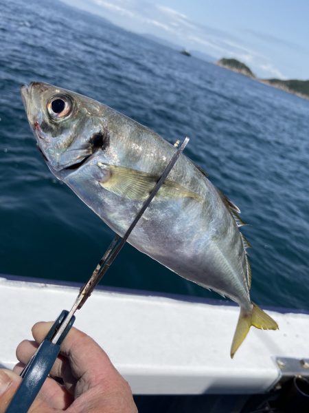 夢丸 釣果