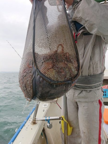 たかみ丸 釣果