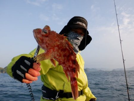 開進丸 釣果