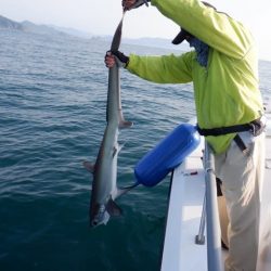 開進丸 釣果