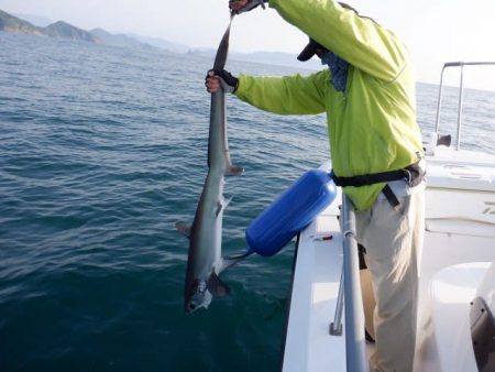 開進丸 釣果