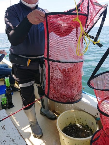 たかみ丸 釣果