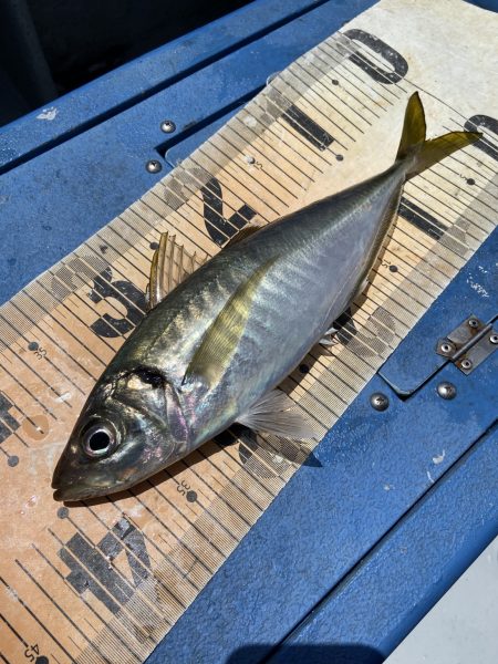 夢丸 釣果