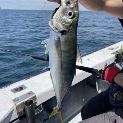 夢丸 釣果