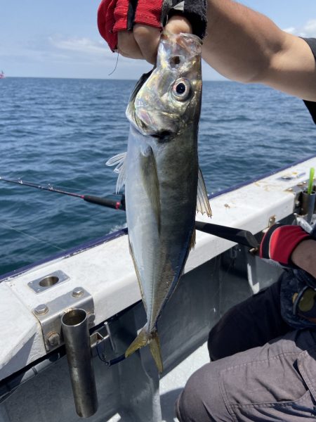 夢丸 釣果