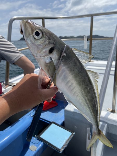 夢丸 釣果