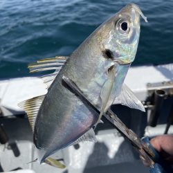 夢丸 釣果