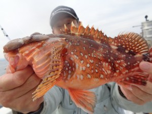 兼六丸 釣果