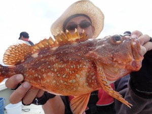 兼六丸 釣果