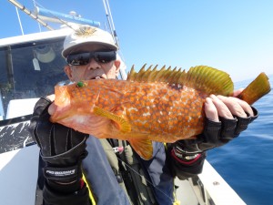 兼六丸 釣果