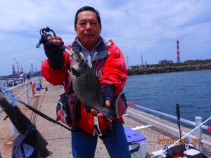 鹿島港魚釣園 釣果