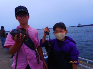 鹿島港魚釣園 釣果