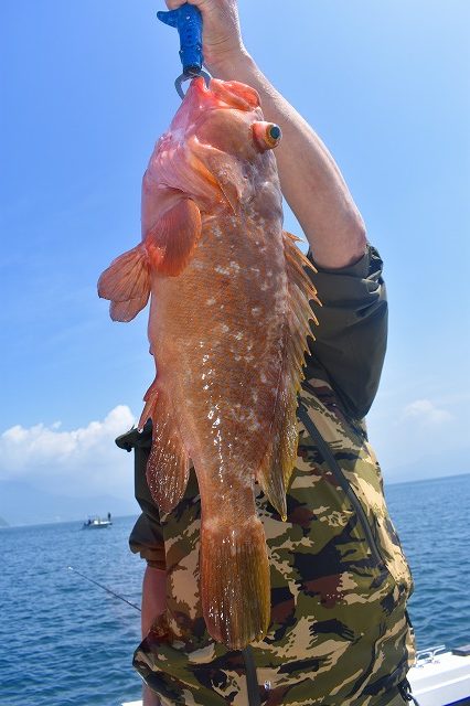 Fisherman Dreams DI 釣果