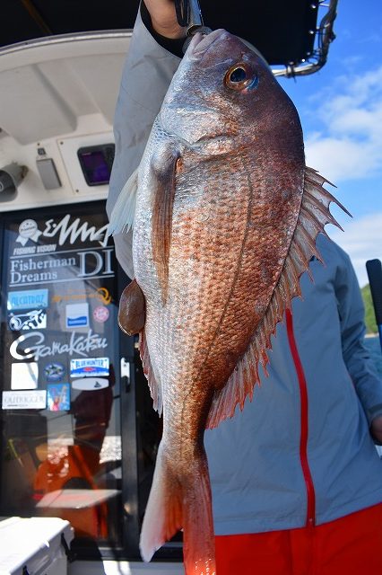 Fisherman Dreams DI 釣果