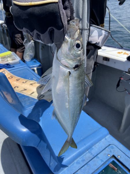 夢丸 釣果