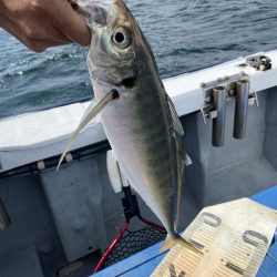 夢丸 釣果